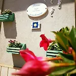Il Mare In Un Boccaccio