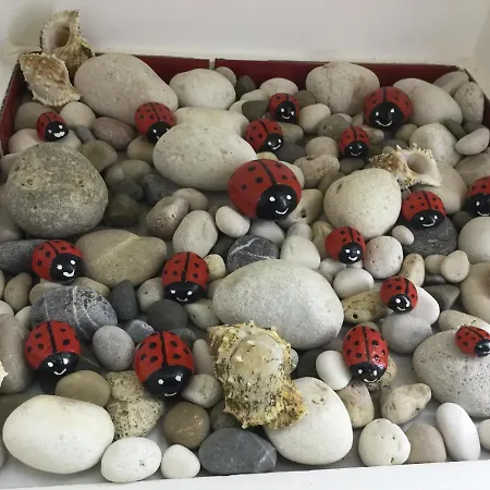 Il Mare In Un Boccaccio