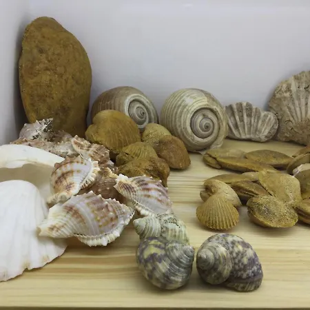 Il Mare In Un Boccaccio