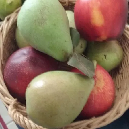 Il Mare In Un Boccaccio Semesterbostad Polignano a Mare