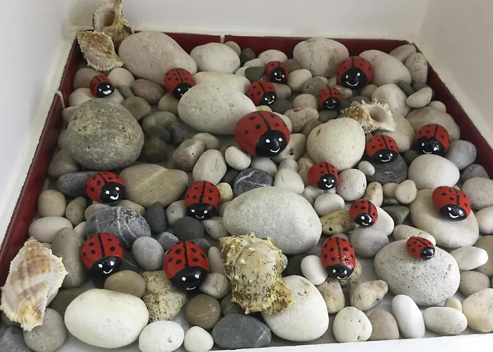 Il Mare In Un Boccaccio