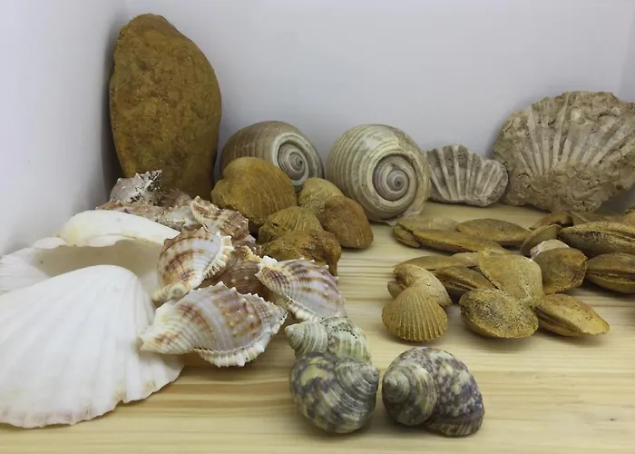 Il Mare In Un Boccaccio
