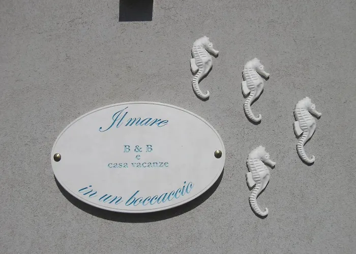 Il Mare In Un Boccaccio 度假居 滨海波利尼亚诺