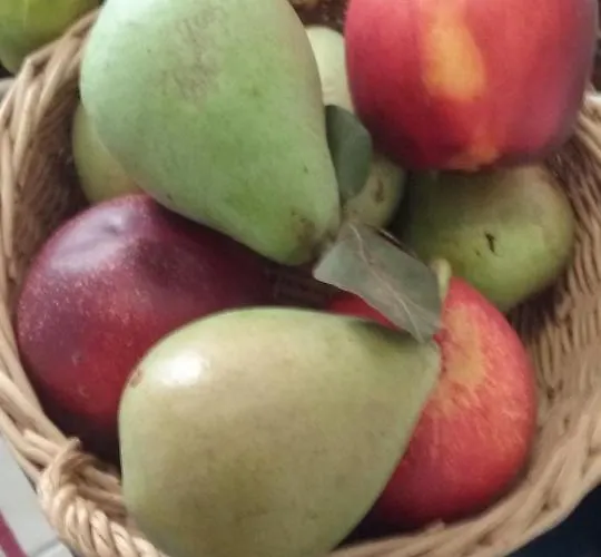 Il Mare In Un Boccaccio 度假居 滨海波利尼亚诺